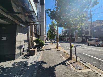 パインフィールド壬生の地図|前面道路