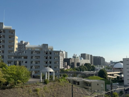 レクセルプラッツァ京王堀之内の展望