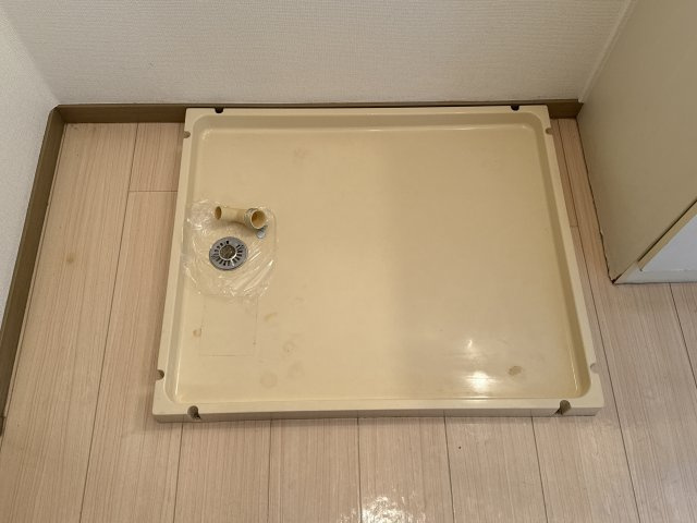 MYシャルムのその他