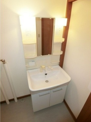 ノーシスD棟の洗面所