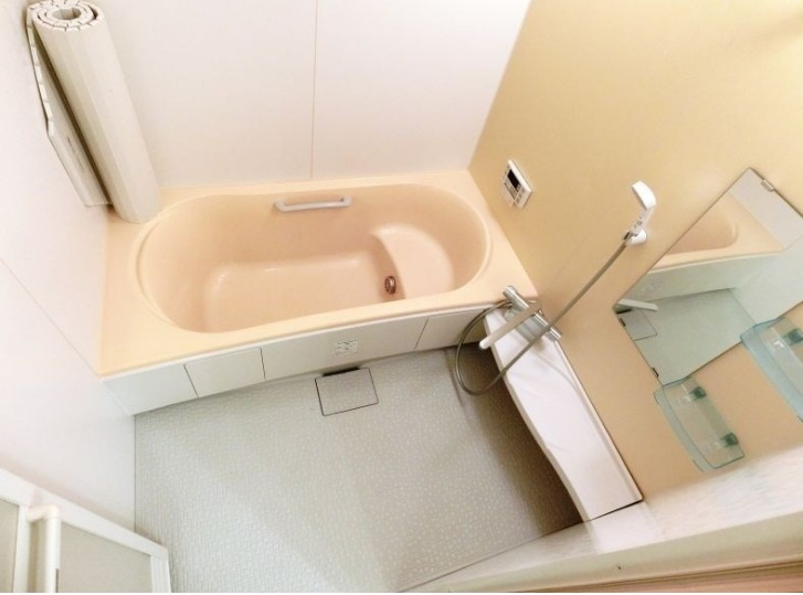 ノーシスD棟の浴室