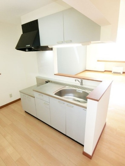 ノーシスD棟のキッチン