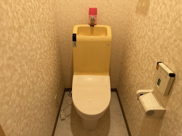 スカイルームⅡのトイレ