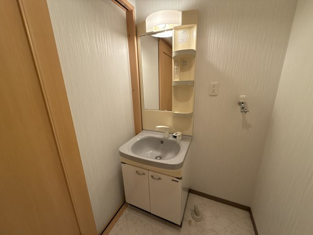スカイルームⅡの洗面所
