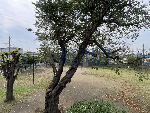 トルペプラザの展望