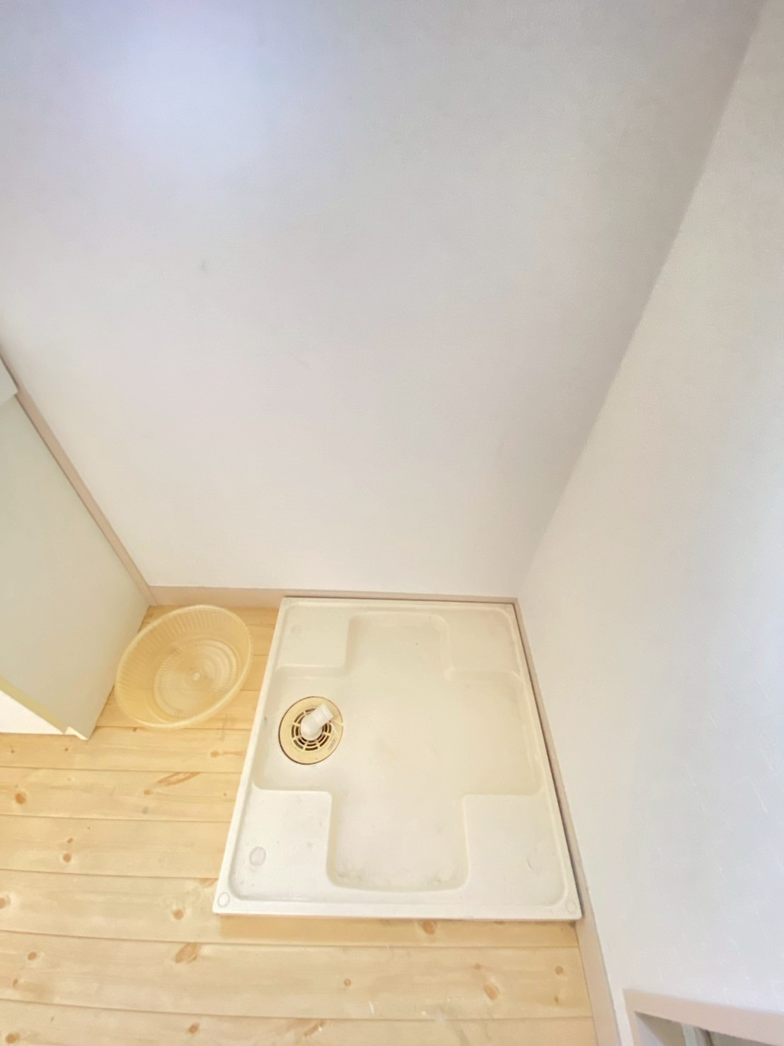 ヴィラ春日丘の内装