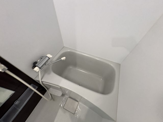 OASIS IKEDAの浴室