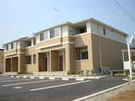 ルピナス・彩の画像