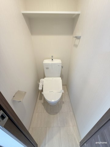 エステムコート難波サウスプレイスⅧハイド　仲介手数料無料のトイレ