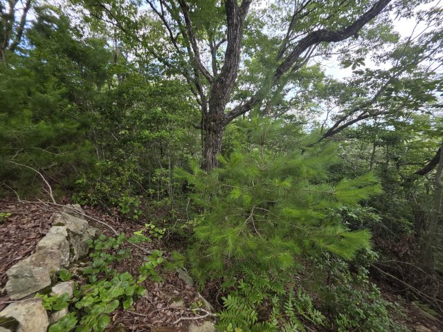 播磨自然高原クラブ平家のその他