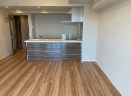 ザ・パークハウス新宿柏木の居間・リビング