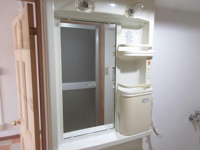 フリーデンハイツの洗面所