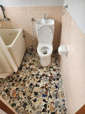 清潔感のあるトイレです