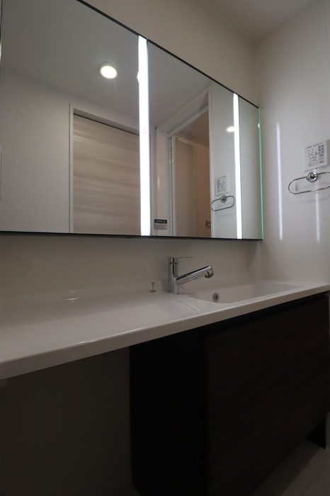 D-ROOM PREMIUM 多磨霊園駅の洗面所