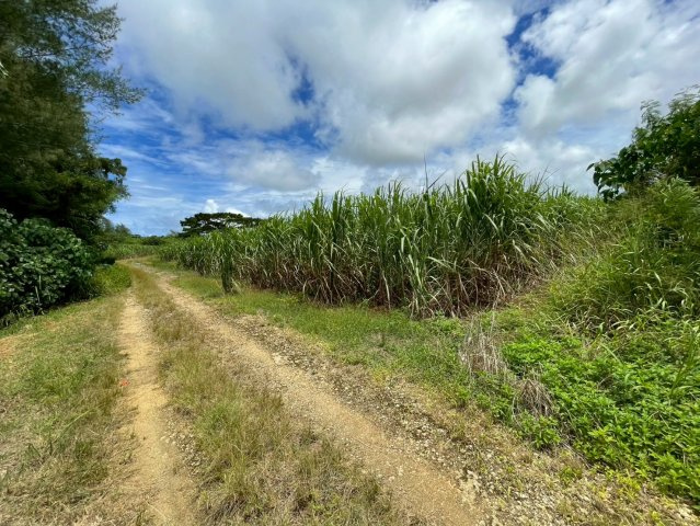 平良字西里1881-1、1880-4の外観
