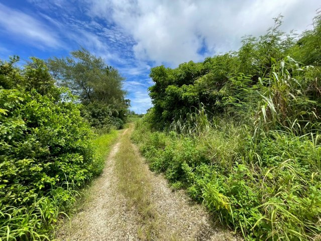 平良字西里1881-1、1880-4の周辺