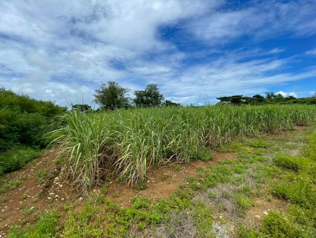 平良字西里1881-1、1880-4の外観