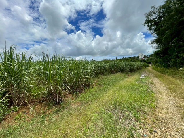 平良字西里1881-1、1880-4の周辺