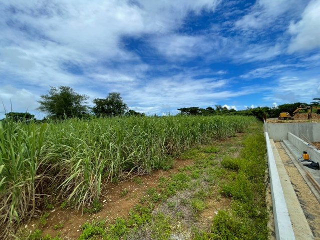 平良字西里1881-1、1880-4の周辺