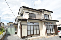 菜の花と春色のフィルムの画像