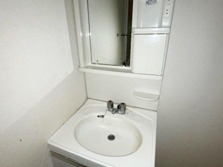 さいたま市桜区西堀８丁目の賃貸マンションの独立洗面台