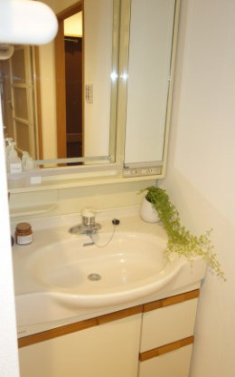 コンフォート文京小石川の洗面所