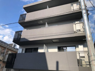 ジェノヴィア蕨の画像