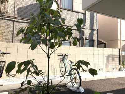 【展望】 | ジェノヴィア蕨