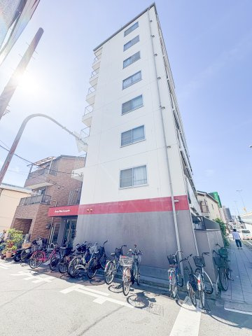 パンジービオラ春日出