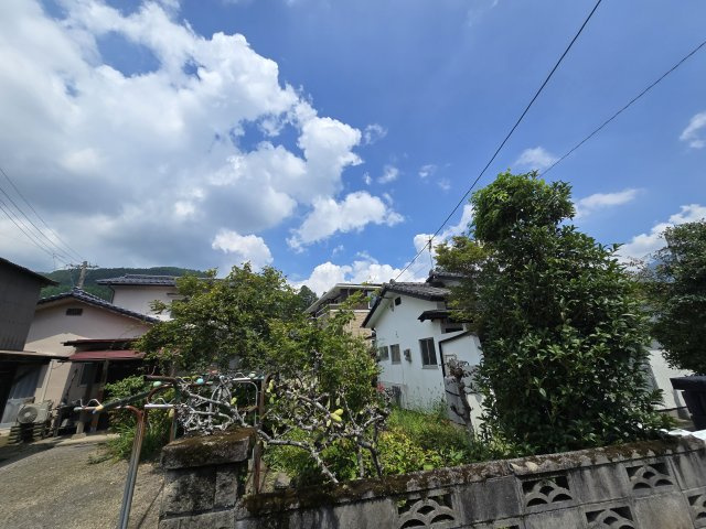 【その他】
