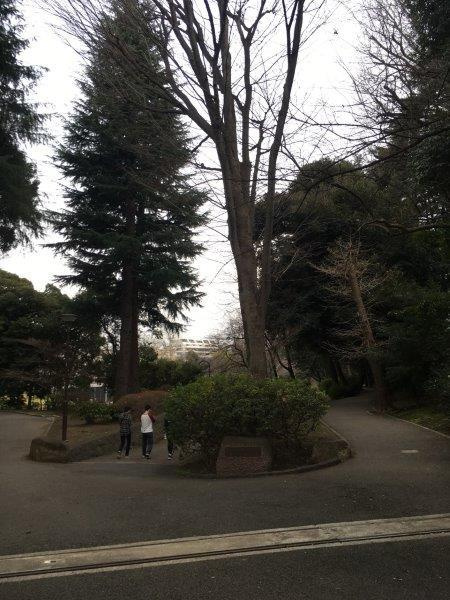 アリーチェ新江古田の周辺|北江古田公園まで400m 