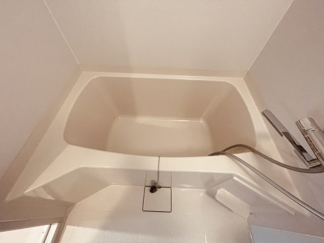 ルミナスNSコーポの浴室