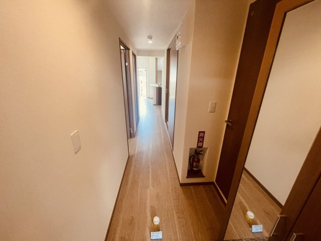 ルミナスNSコーポの玄関