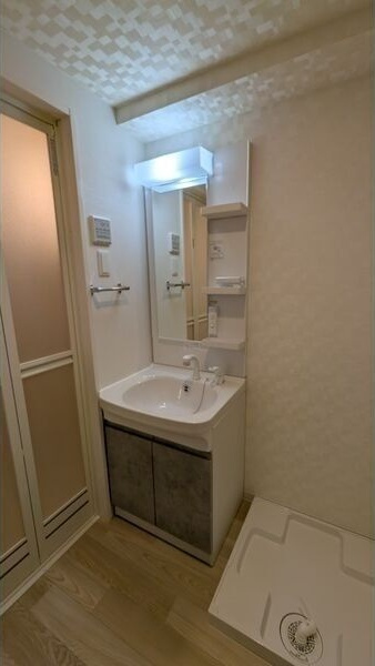 S-RESIDENCE堀田beauteの洗面所