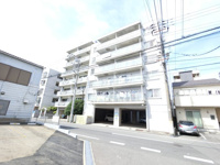 藤ハイムの画像