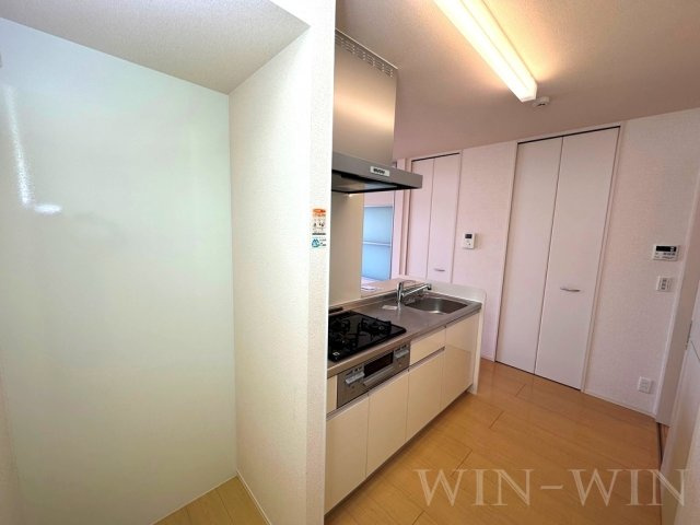 たれいあのその他