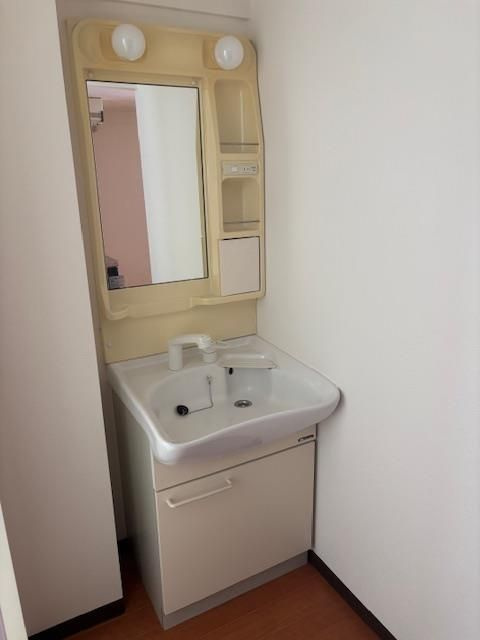 ピア中通の独立洗面台