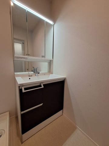 （シニア限定）ヘーベルVillage北浦和公園の独立洗面台|鏡面裏に収納あり/ホースヘッド