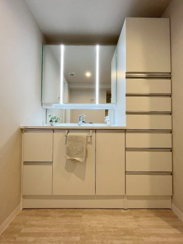 モアステージ吉川ライネスハイムB棟の独立洗面台|収納たっぷりな独立洗面台です