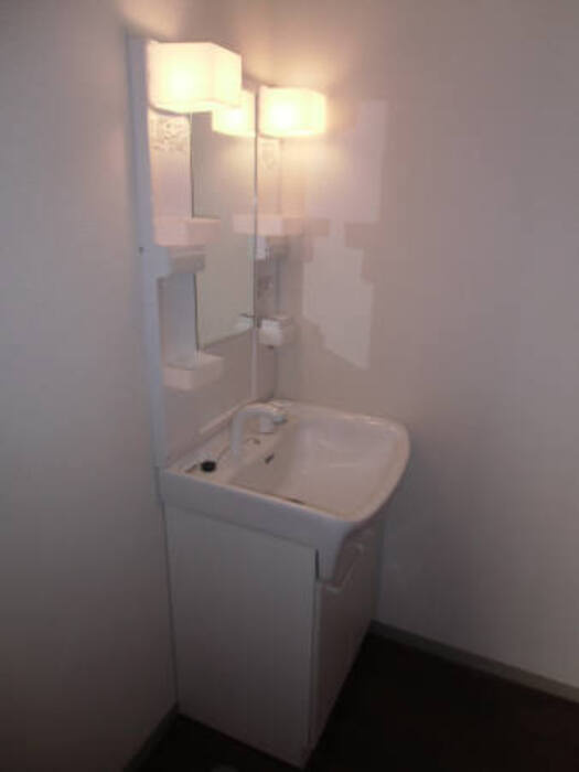 パセオみずほ台の洗面所