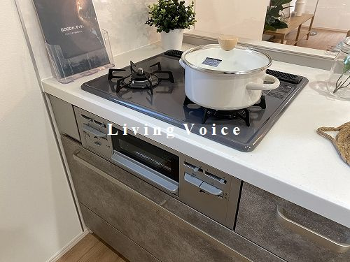 【玄関】 | 【仲介手数料０円】平塚市第1諏訪町　新築一戸建て　全2棟 | 平塚市第1諏訪町　新築一戸建て　全2棟