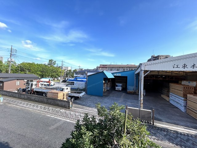 ピュアグレイスの展望