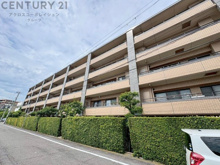 コスモ芦屋川シーサイドテラスの画像