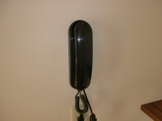 【セキュリティ】 | ラプリマヴェーラ