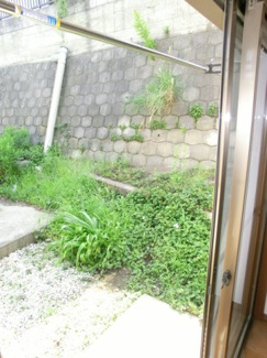 【庭】 | ラプリマヴェーラ