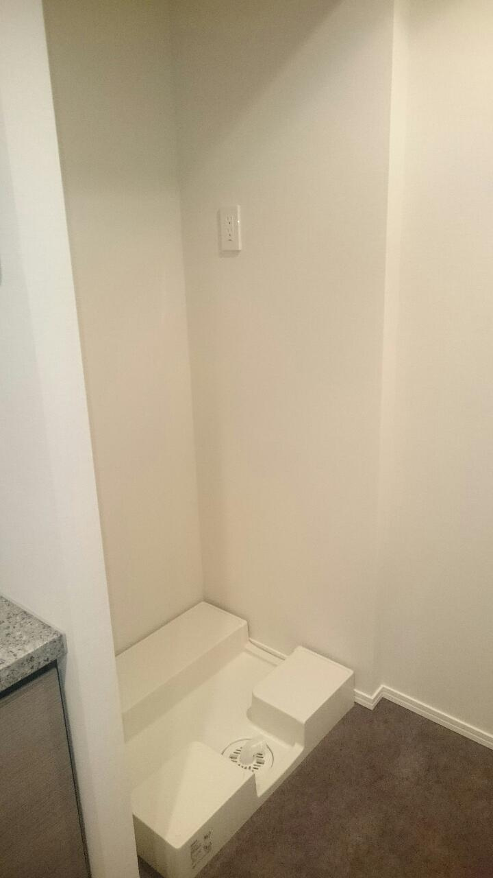 ザ・パークハウス晴海タワーズティアロレジデンスの洗面所