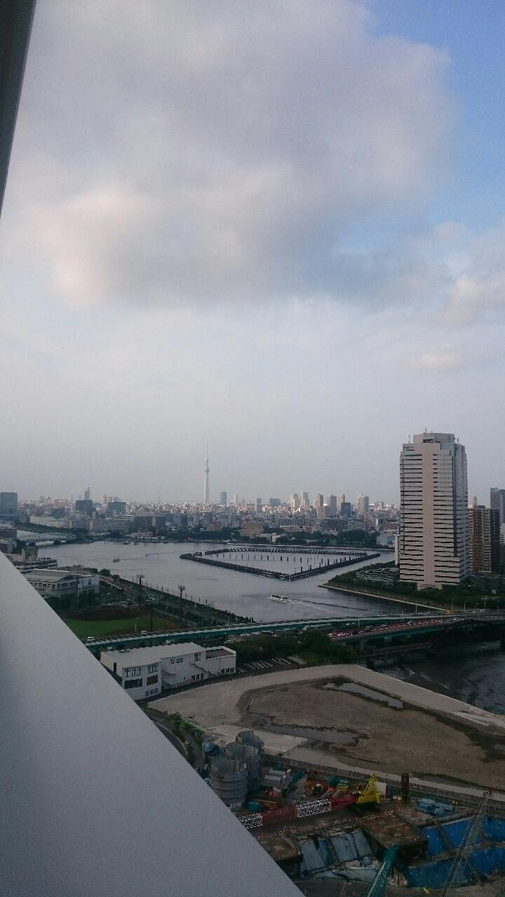 ザ・パークハウス晴海タワーズティアロレジデンスの展望