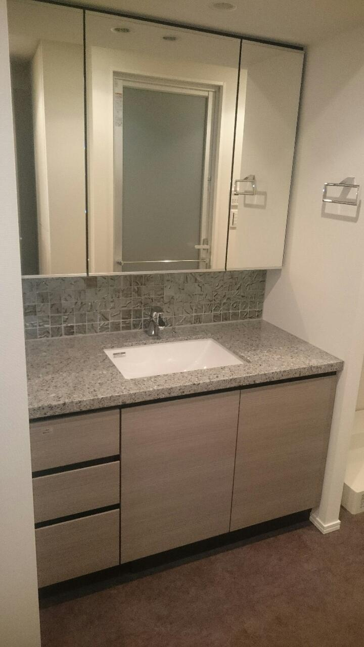 ザ・パークハウス晴海タワーズティアロレジデンスの洗面所