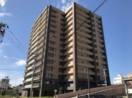 アンピール大村ステーションツリーの画像