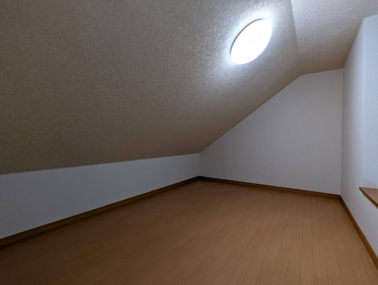 文苑2丁目　ロイヤルエステートLの内装